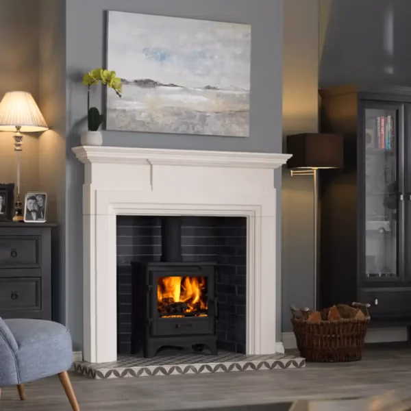 Penman Bassington Eco Multifuel Stove
