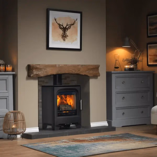 Purevision Countryman Free-Standing Multifuel Stove